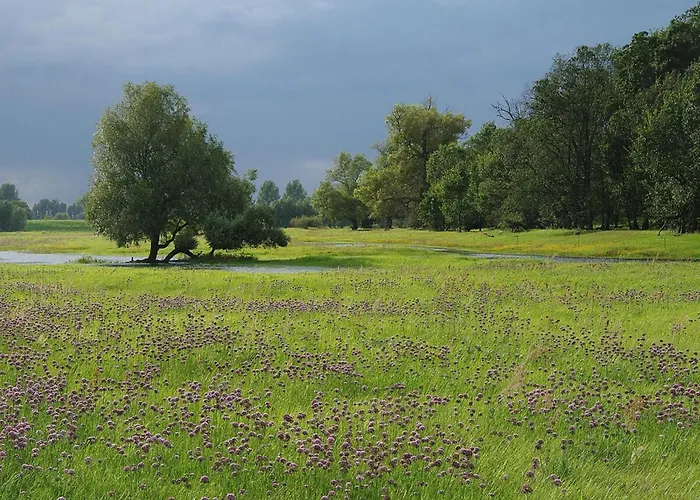 Family-friendly In The Oderbruch 아파트
