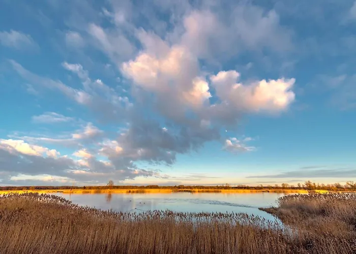 Family-friendly In The Oderbruch Apartment *